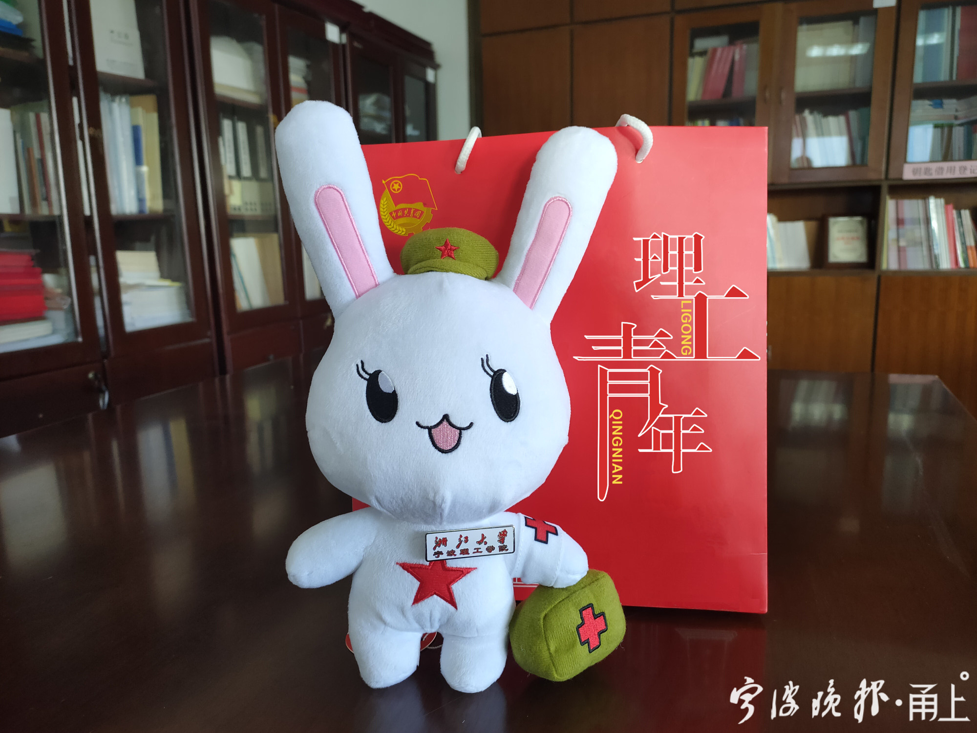 (为湖北籍返校学生提供的共青团专项"爱心健康包"和团兔公仔 通讯员