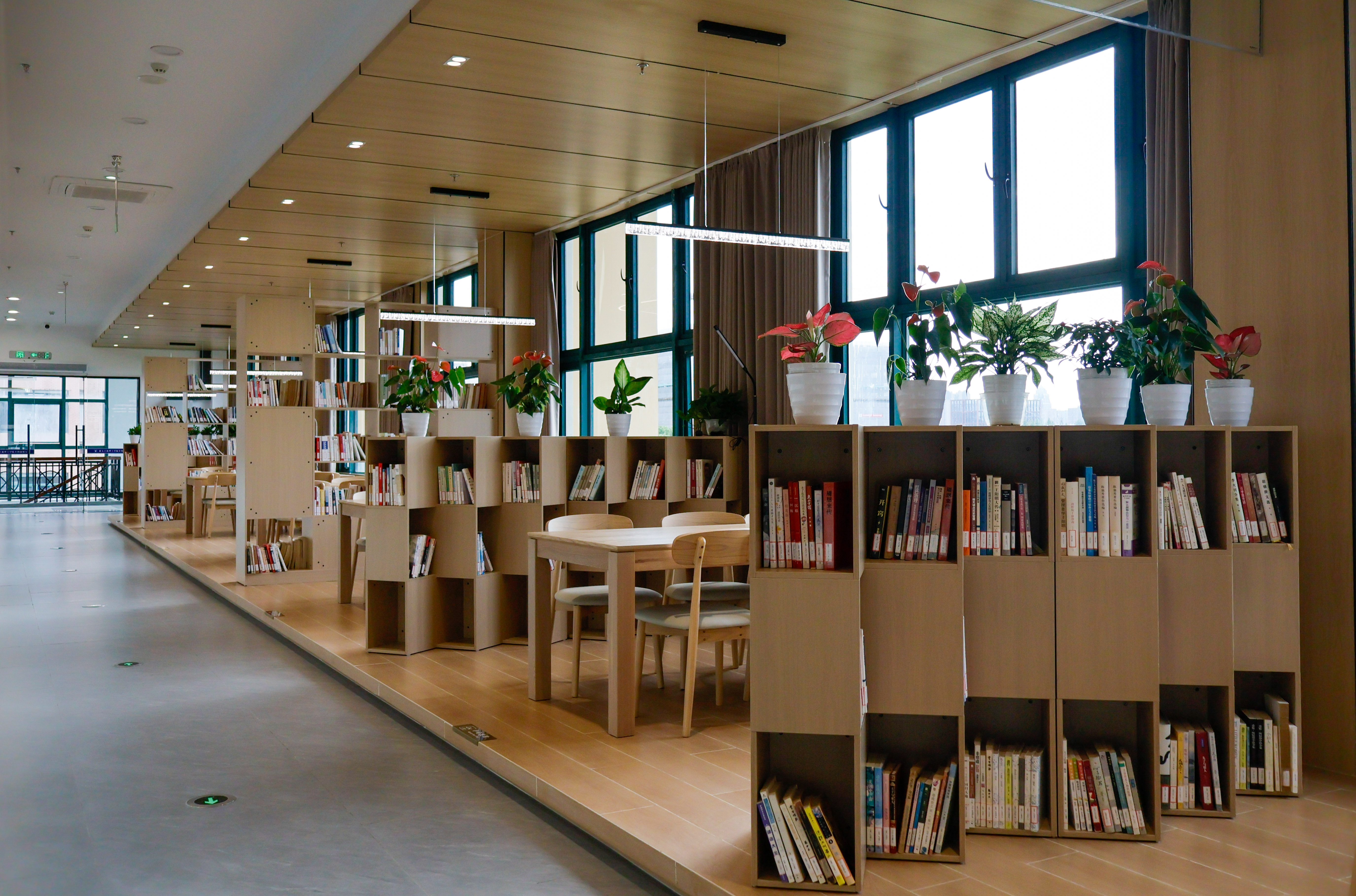 浙大宁波理工学院在食堂设置“知识能量站” 学校供图.jpg